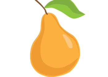 Italmercati, Pallottini (DG CAR) confermato alla presidenza