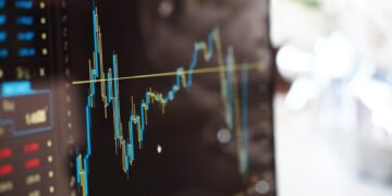La Teoria del Valore e la Valutazione Finanziaria dell'Investimento